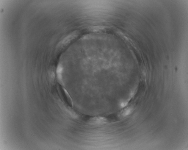 X0000075920427200610151911