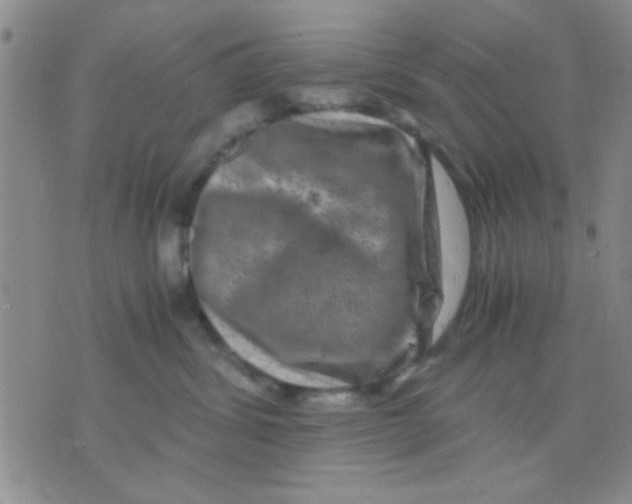 X0000075920428200610151911