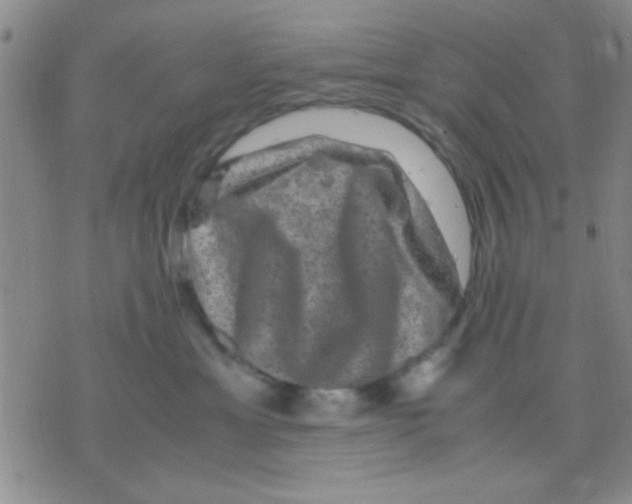 X0000075920429200610151911