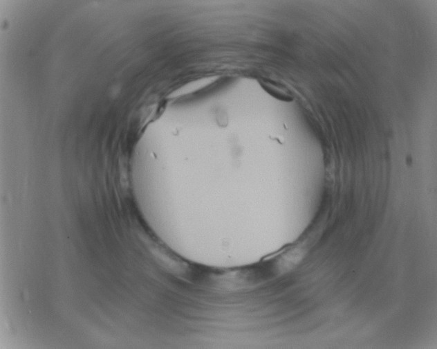 X0000075920430200610151911