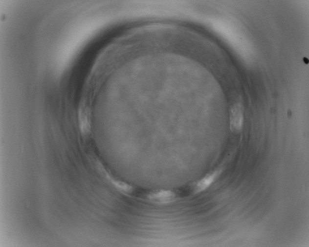 X0000075920431200610151911