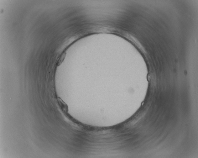 X0000075920433200610151910