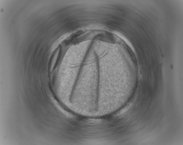 X0000075920437200610151910