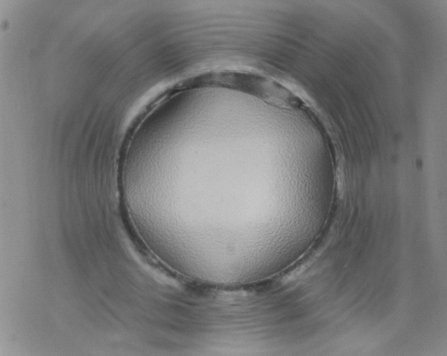 X0000075920438200610151910