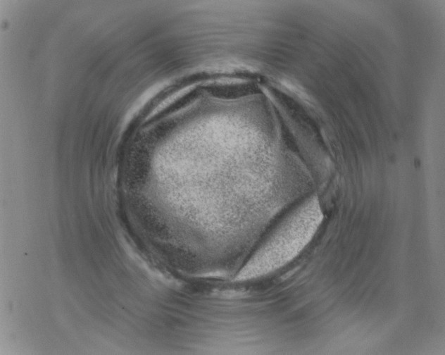 X0000075920440200610151910