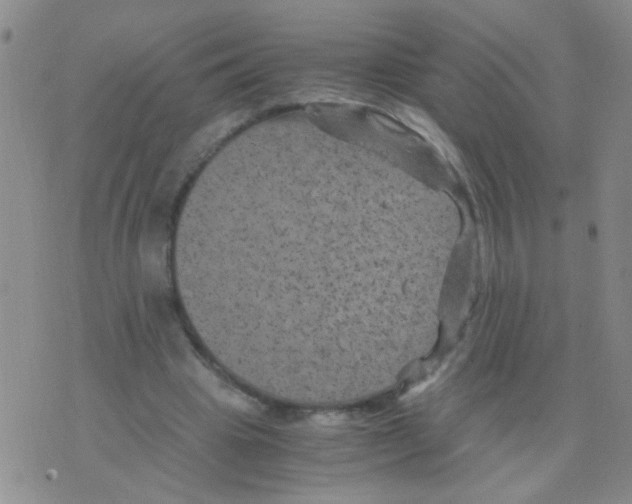 X0000075920441200610151910