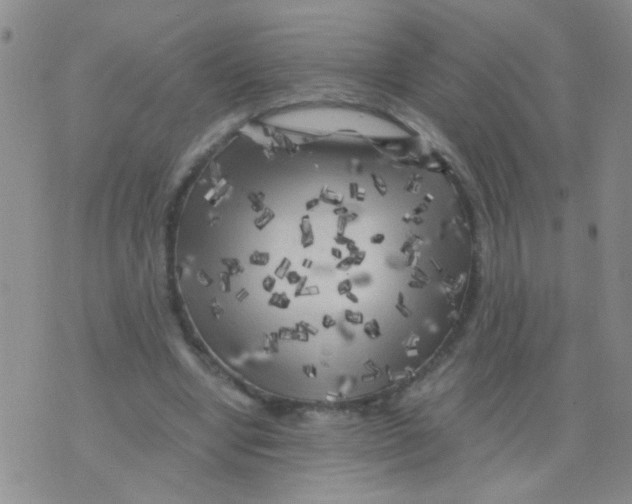 X0000075920442200610151910