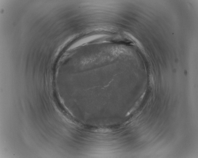 X0000075920444200610151910