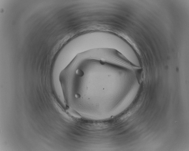 X0000075920445200610151910