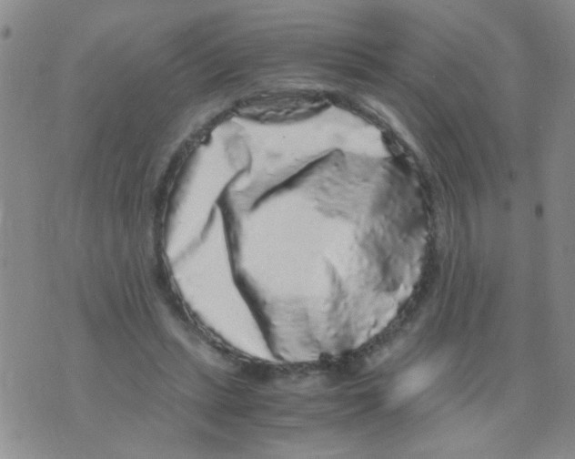 X0000075920447200610151910