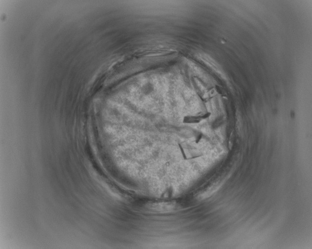 X0000075920449200610151910