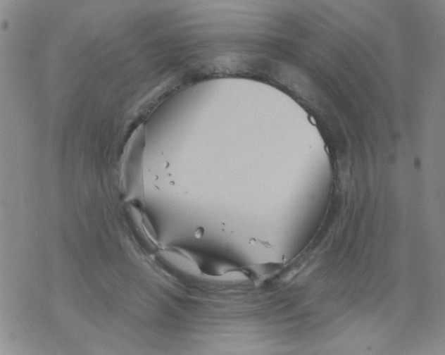 X0000075920450200610151910