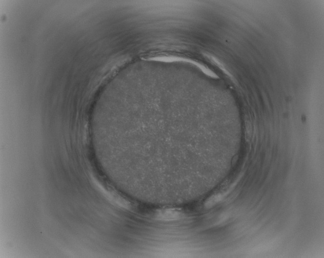 X0000075920451200610151910