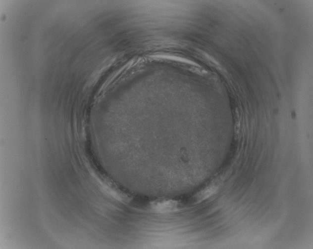 X0000075920452200610151910