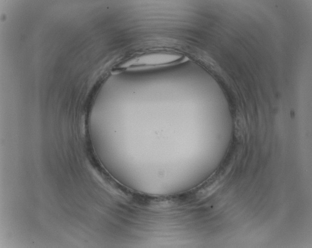 X0000075920454200610151910