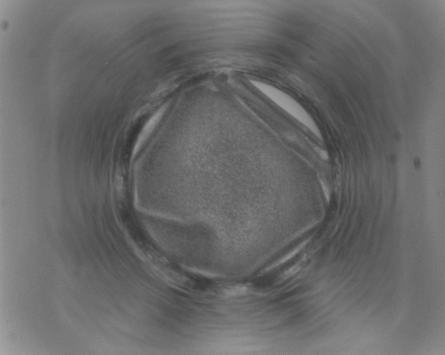 X0000075920456200610151910