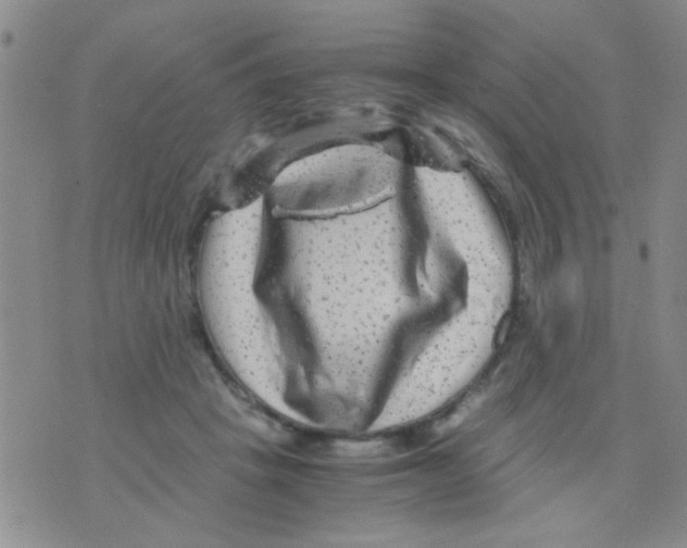 X0000075920457200610151910