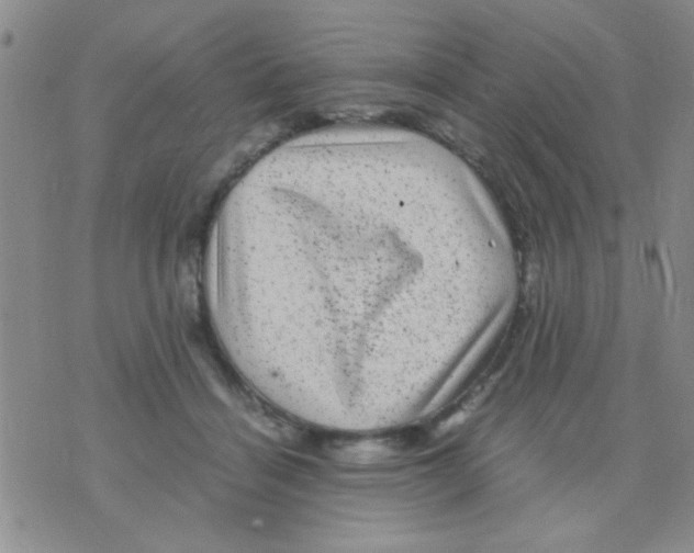 X0000075920460200610151911