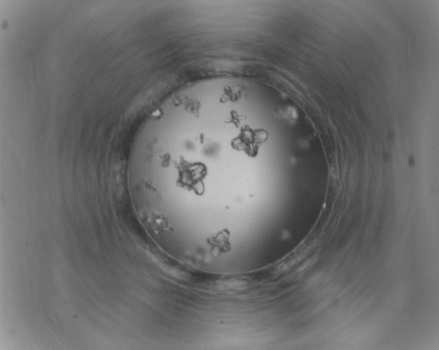 X0000075920462200610151911