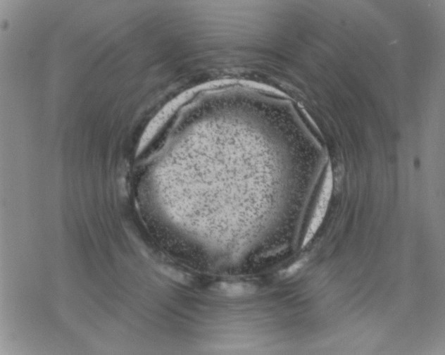 X0000075920464200610151911