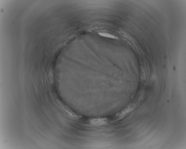 X0000075920465200610151911