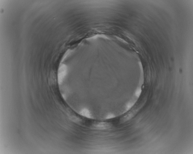 X0000075920467200610151911