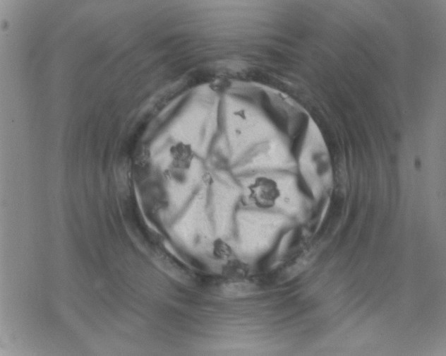 X0000075920468200610151911