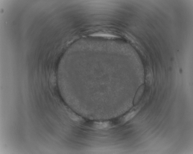 X0000075920469200610151911