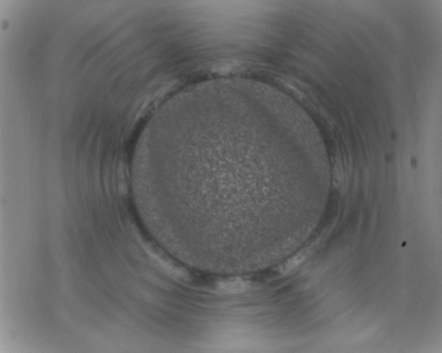 X0000075920470200610151911