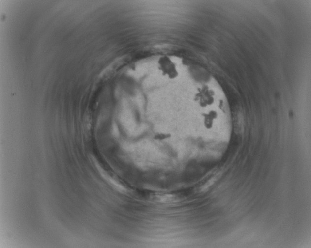 X0000075920472200610151911