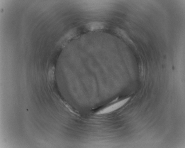 X0000075920475200610151911