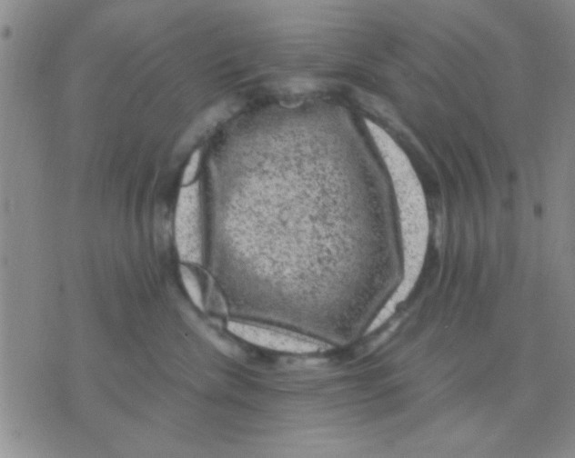 X0000075920476200610151911