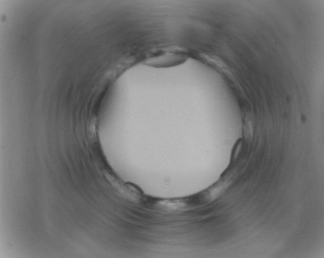 X0000075920477200610151911