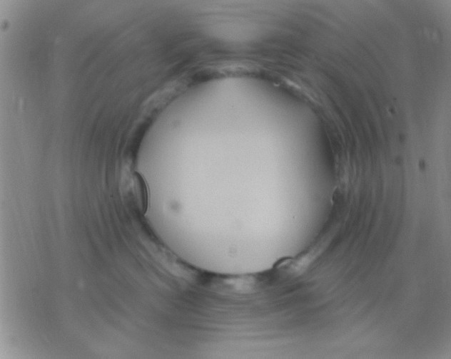 X0000075920478200610151911