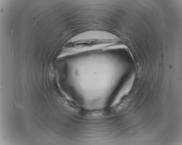 X0000075920479200610151911