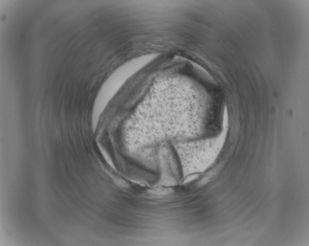 X0000075920480200610151911