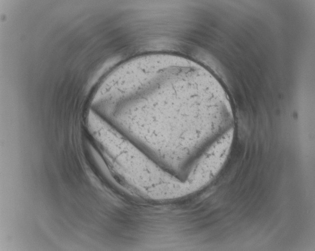 X0000075920482200610151910