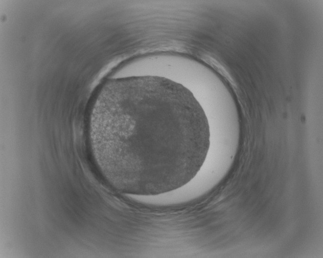 X0000075920483200610151910