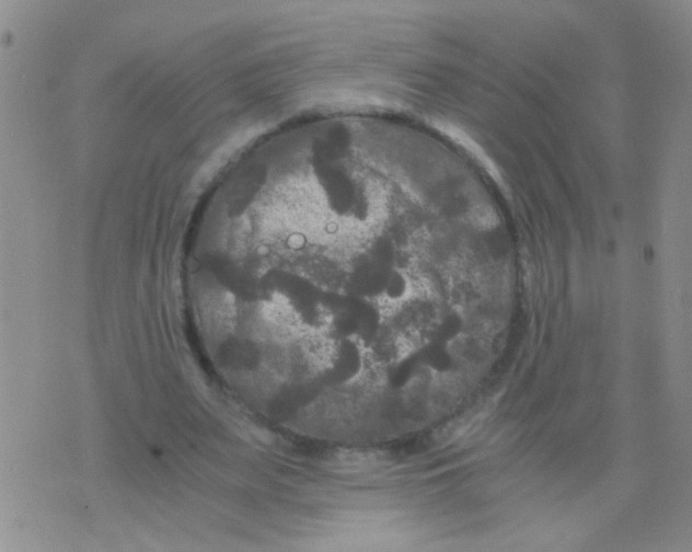 X0000075920487200610151910