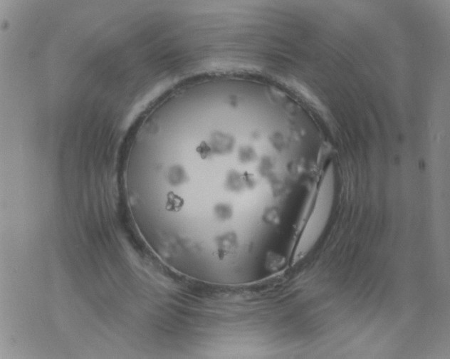 X0000075920488200610151910