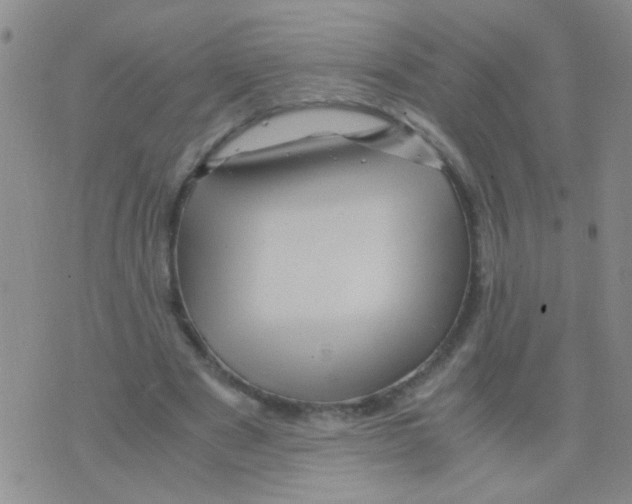 X0000075920489200610151910