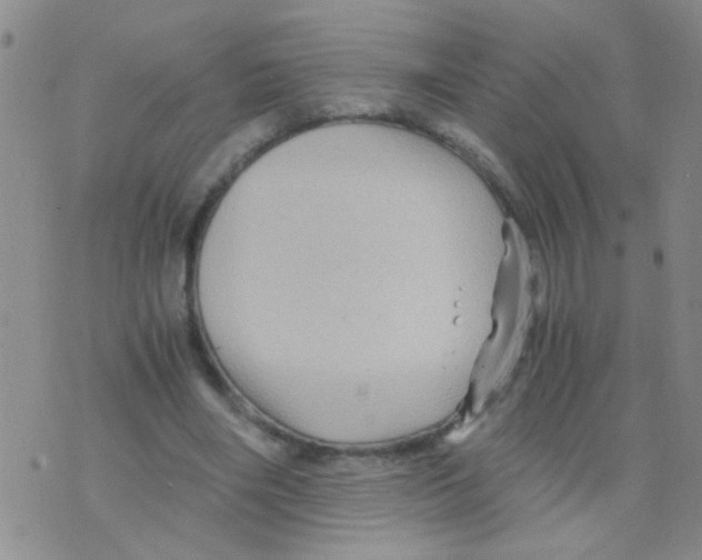 X0000075920490200610151910