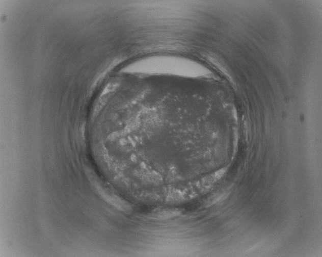 X0000075920491200610151910