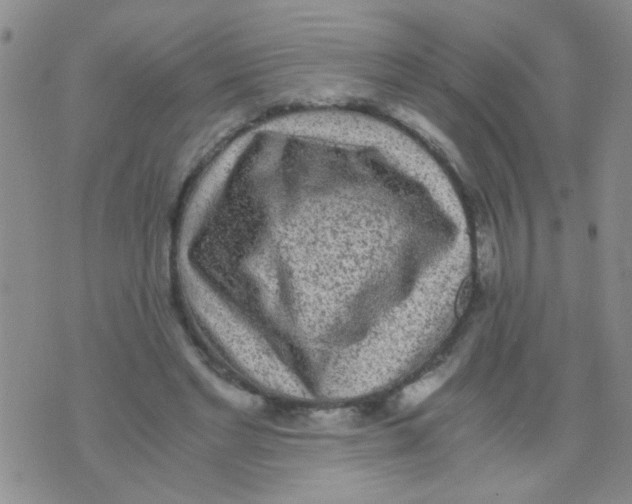 X0000075920493200610151910