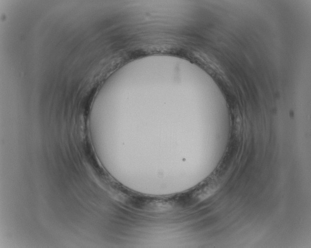 X0000075920498200610151910