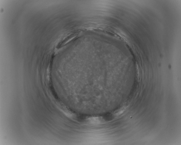 X0000075920499200610151910