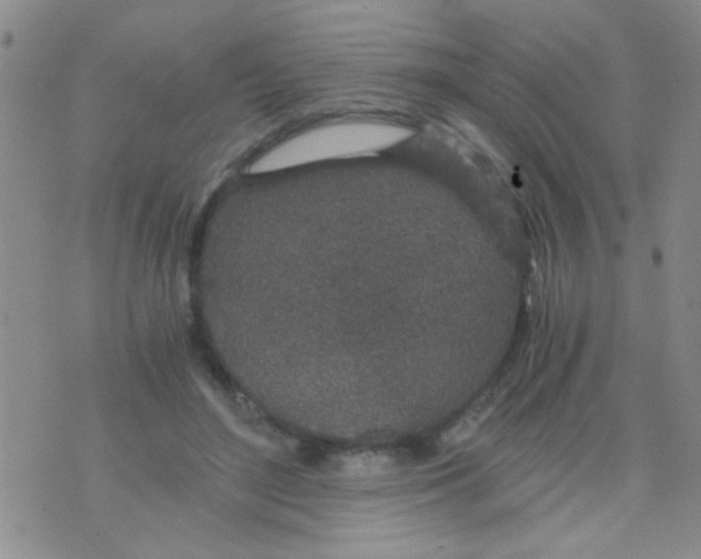 X0000075920500200610151910