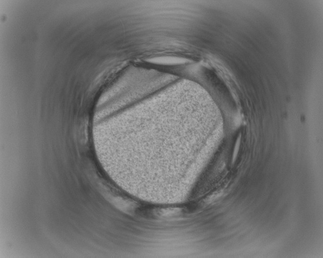 X0000075920501200610151910