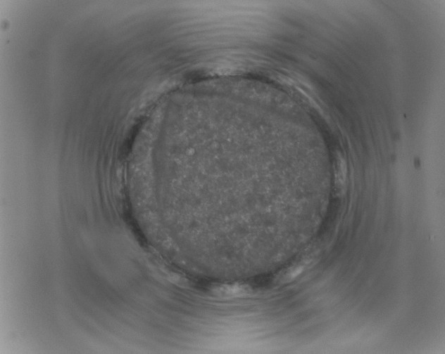 X0000075920503200610151910