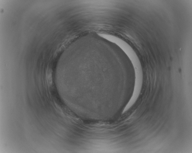 X0000075920504200610151910